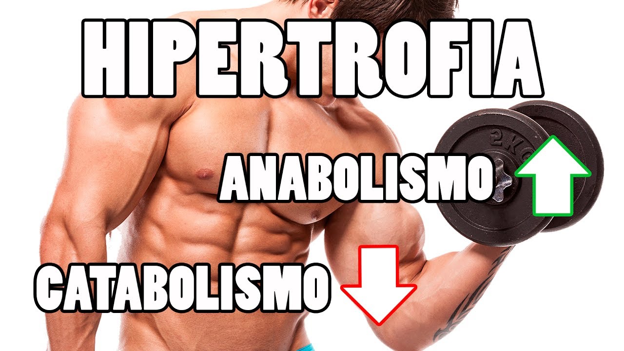 HIPERTROFIA, RELACION CON ANABOLISMO Y CATABOLISMO