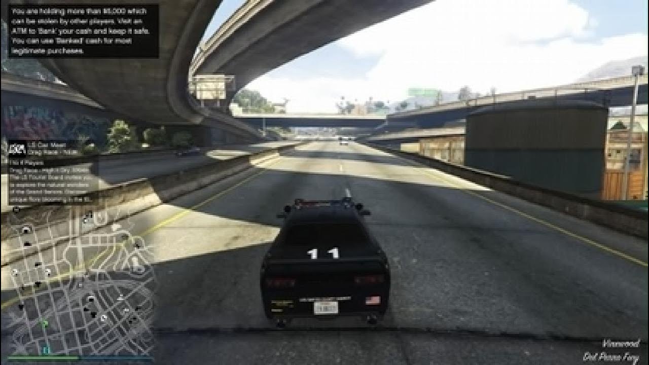 Grand Theft Auto V me and bubba