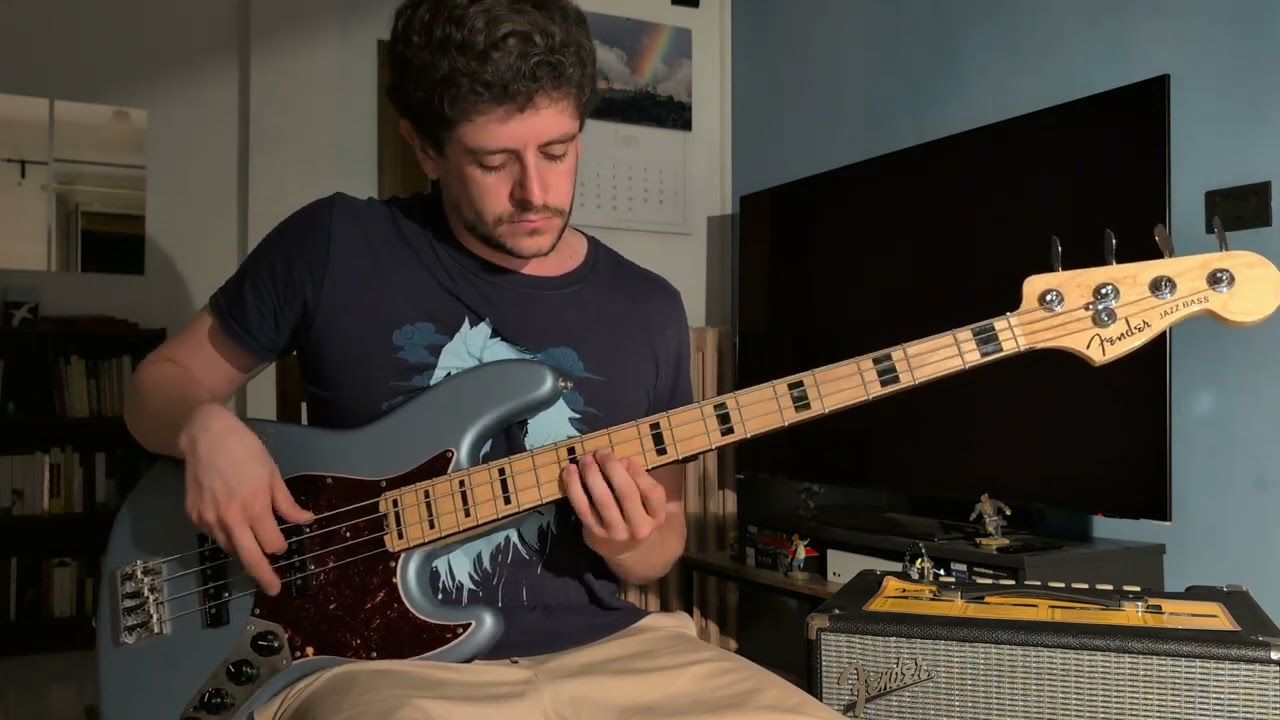Aeroplane - RHCP - Bass Cover