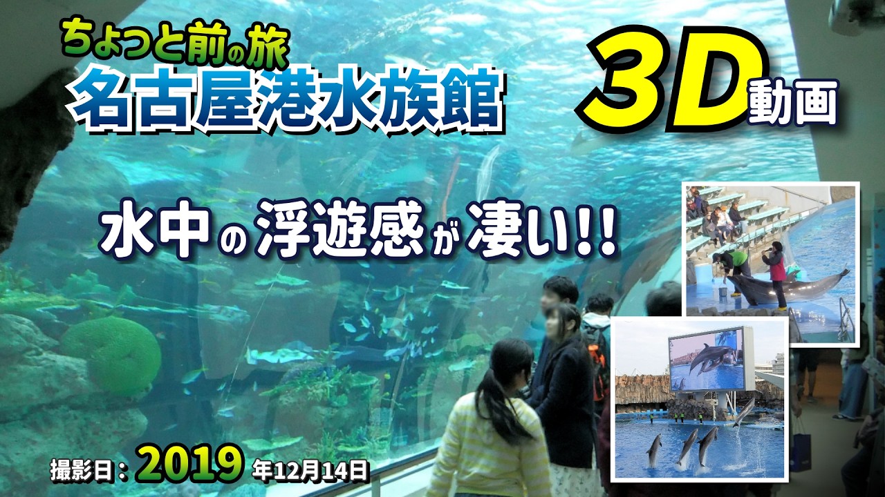 【3D動画 / 3D Video】ちょっと前の旅 名古屋港水族館 水中の浮遊感が凄い!!【愛知県 名古屋市 港区 2019年12月14日】