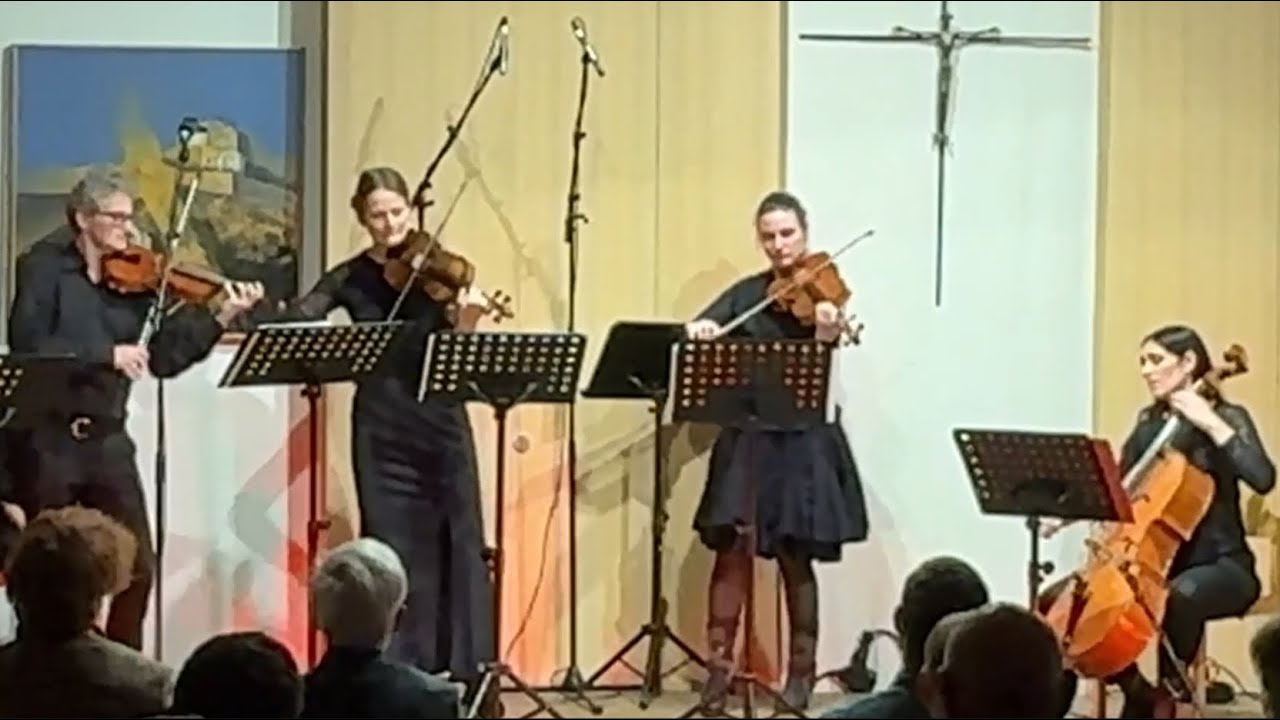 Can You Feel The Love Tonight (Chamäleon Quartett)