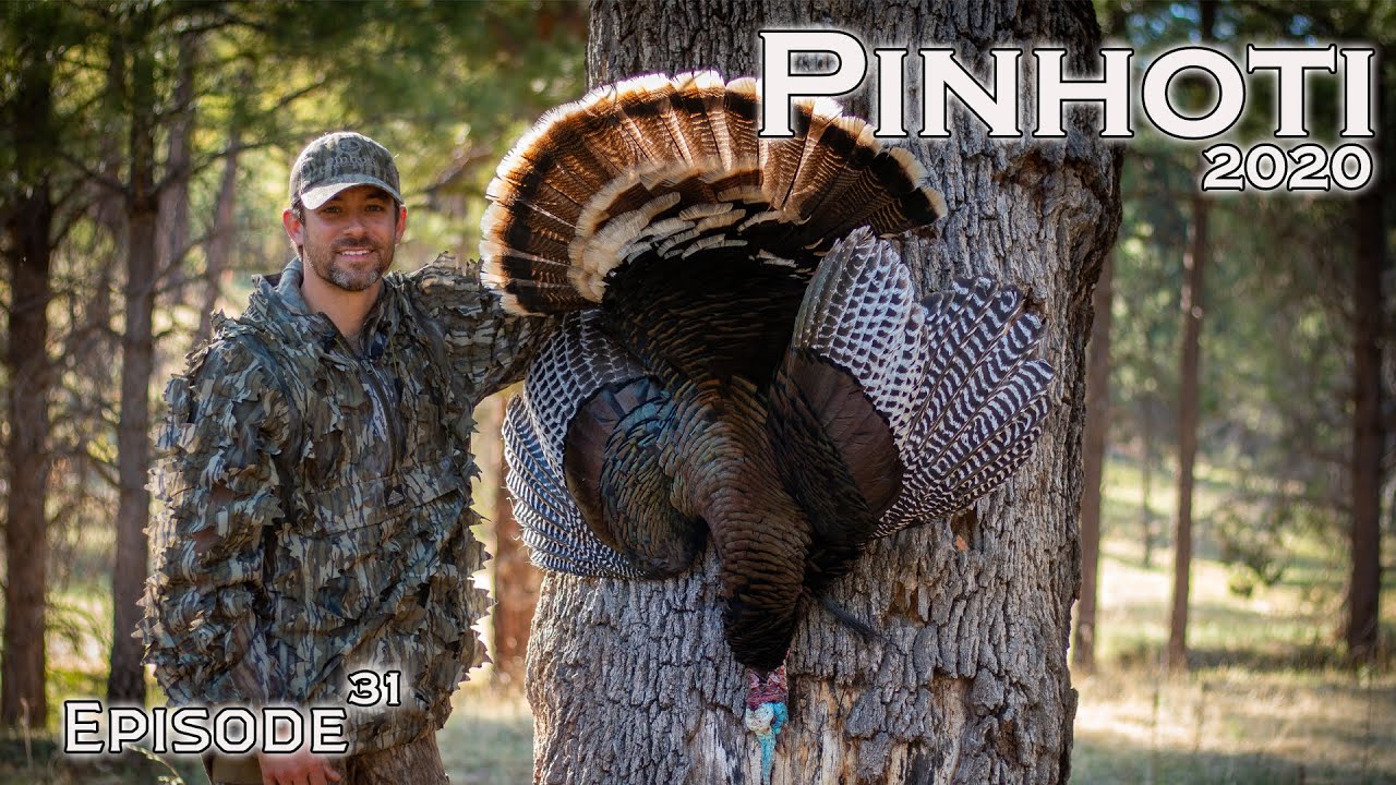 MOUNTAIN MERRIAM'S TURKEY HUNTING | NATIONAL FOREST GOBBLERS | PUBLIC LAND- Pinhoti 2020