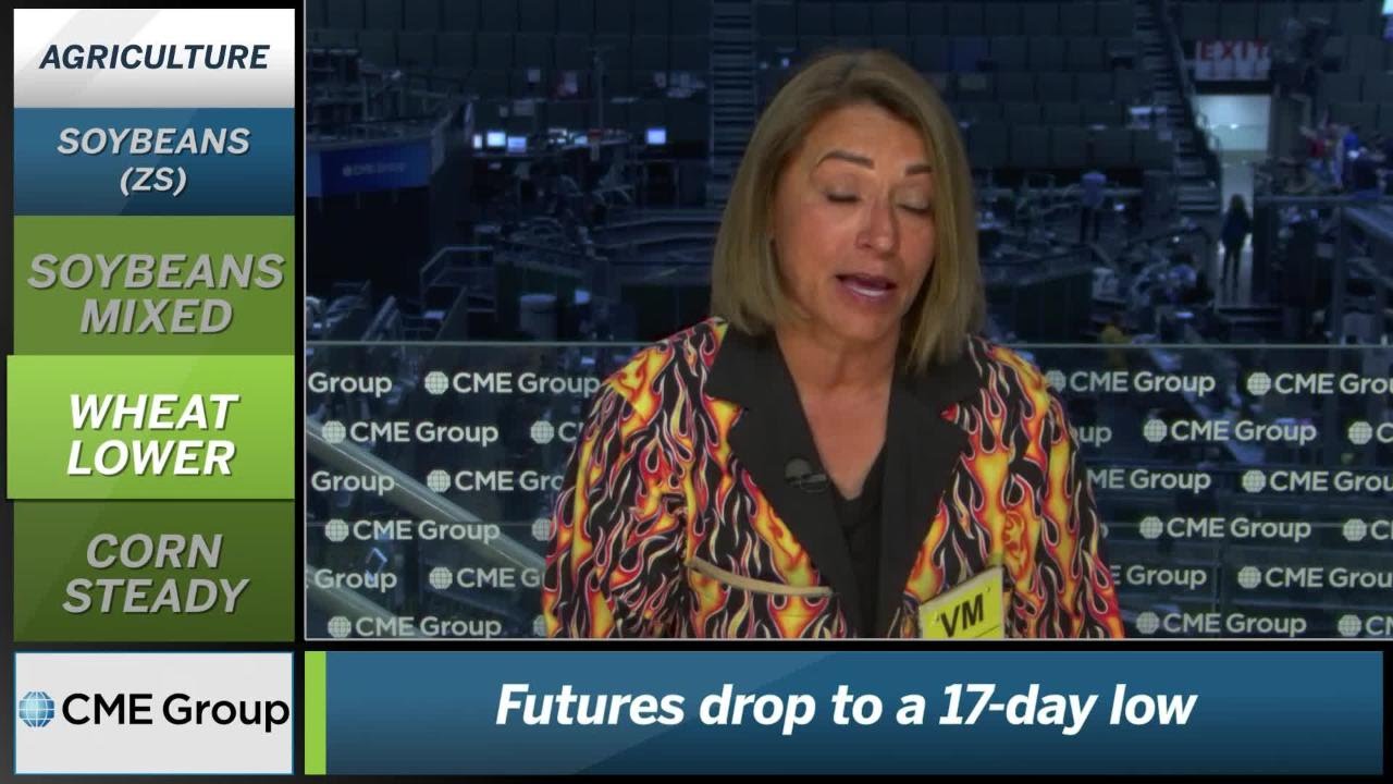 July 17 Grains Commentary: Virginia McGathey
