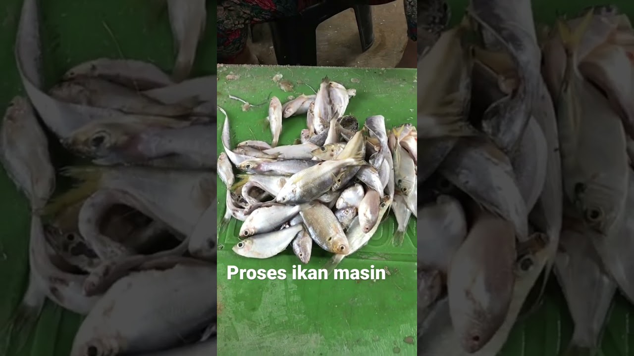 Proses ikan masin
