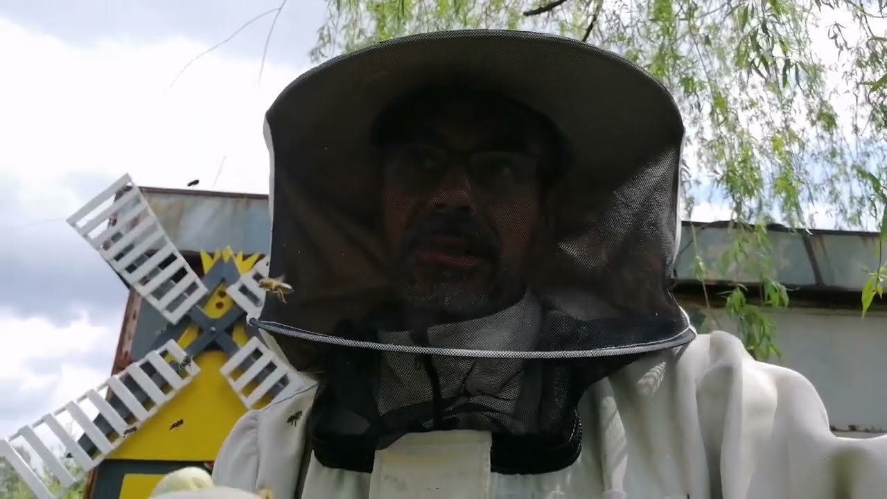 Agresywne (zabó..jcze) pszczoły, likwi..dacja trutni. 😵😵. #pasieka #bee #apiary #matki #nature