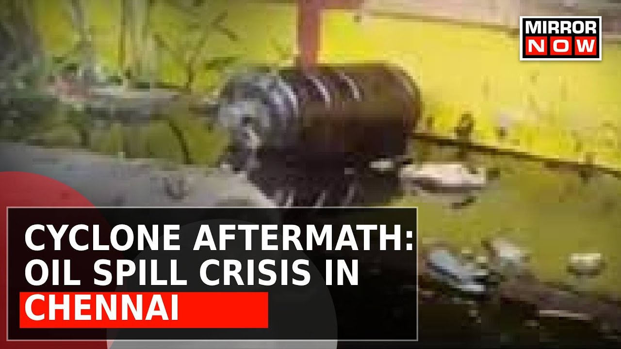 Chennai Cyclone Aftermath |Oil Spill In Flood Waters In Ennore, NGT To Hear Oil Spill Case On Monday