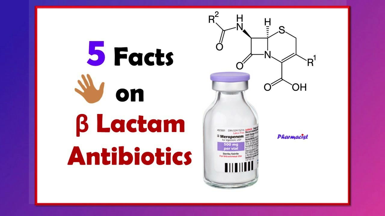 5 Facts on Beta Lactam Antibiotics/ In 2 min #antibiotics #pharmd #pharmacist
