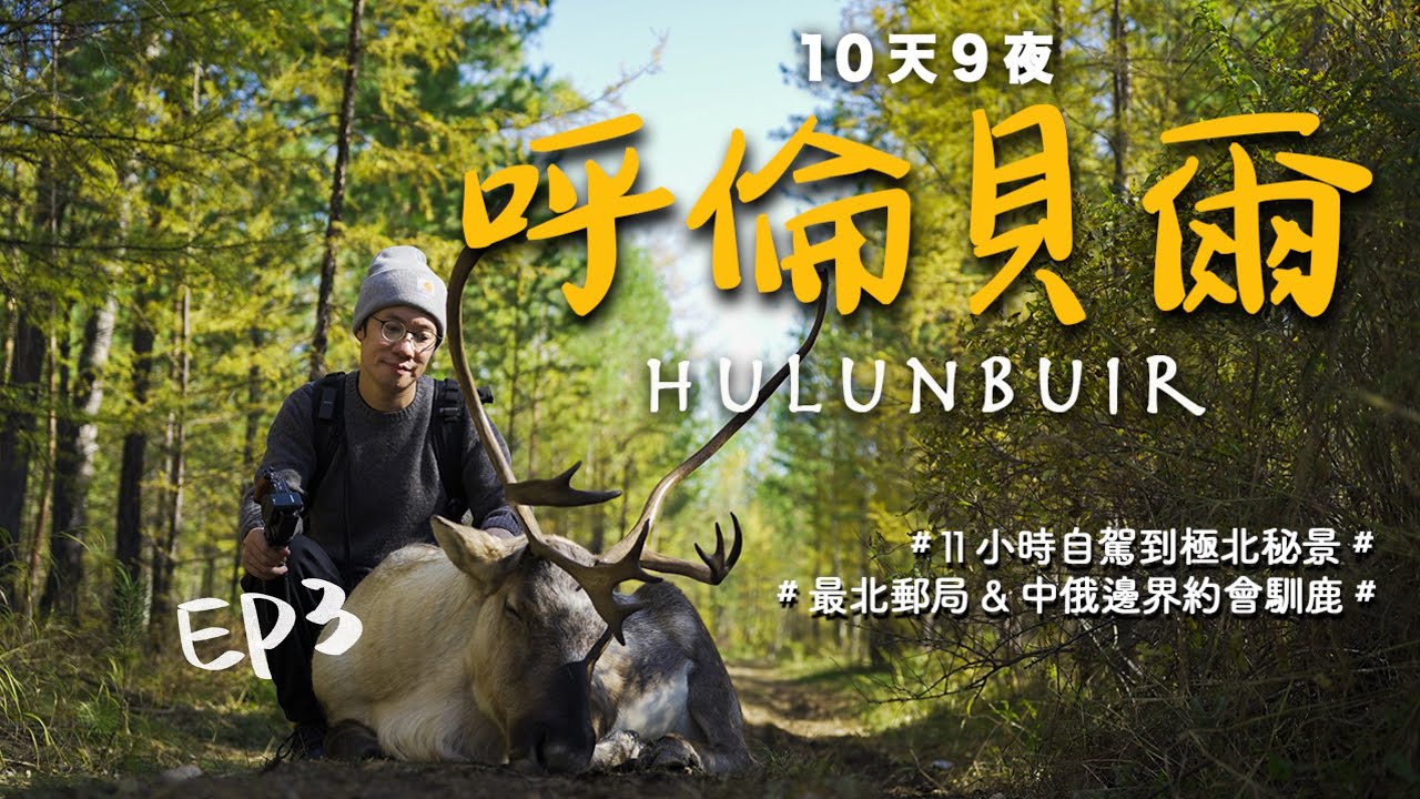 【內蒙古呼倫貝爾10天9夜Vlog】EP3-自駕11小時地獄路況+極北秘境出發大興安嶺！去「中國最北」漠河北極村約會馴鹿，打卡最北郵局和中俄邊界｜拾葉知悠民宿｜根河｜北極沙洲｜4K｜2021更新
