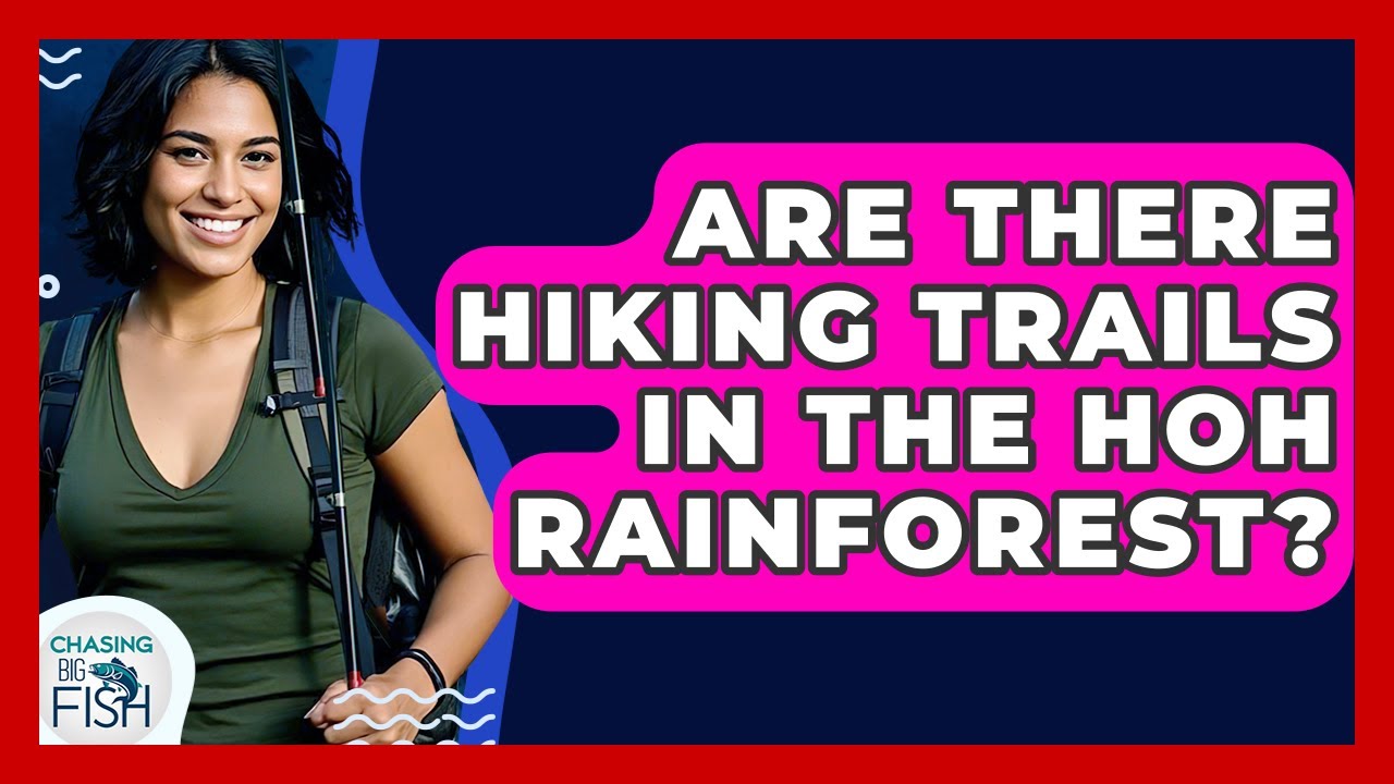 Are There Hiking Trails In The Hoh Rainforest? - Chasing Big Fish