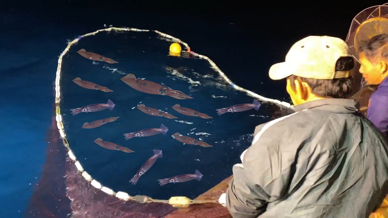 Nghề câu, mực bọt nổi nhiều đánh 2 phát nghề liên tục - Dân Biển