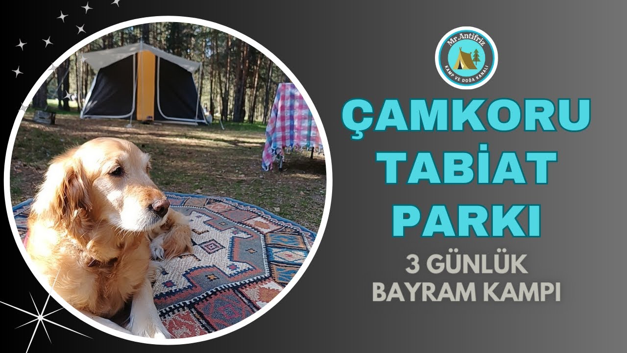 ÇAMLIDERE - ÇAMKORU TABİAT PARKI - 3 Günlük Kamp Deneyimi - YENİ EKİPMANLAR