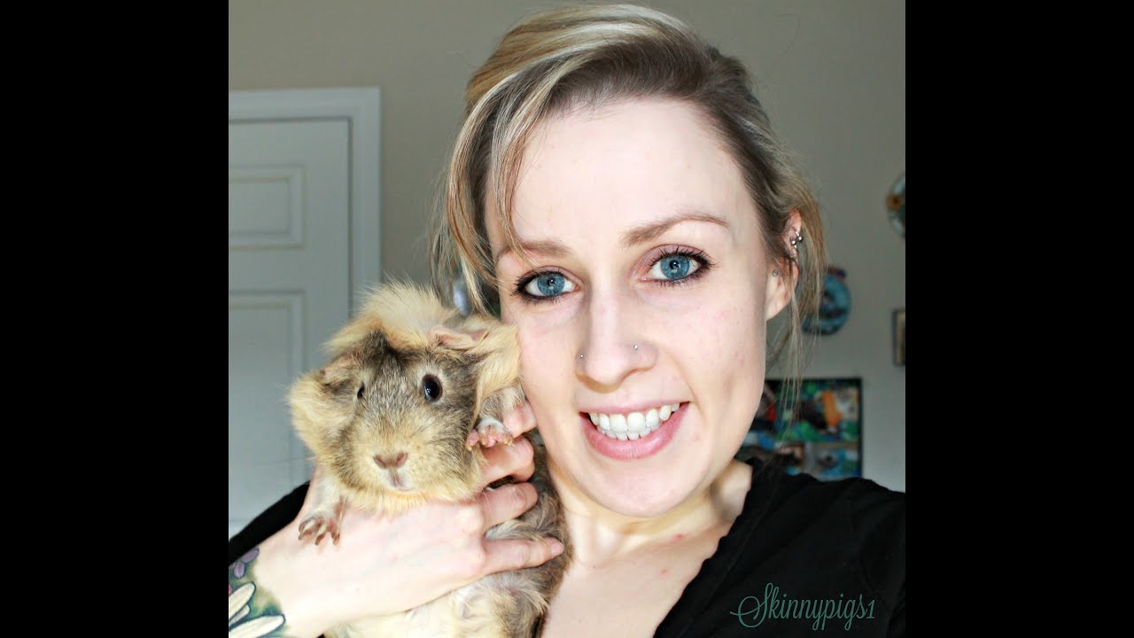 GoPro: Guinea Pig Morning Routine (6 Guinea Pigs & 1 Rabbit)