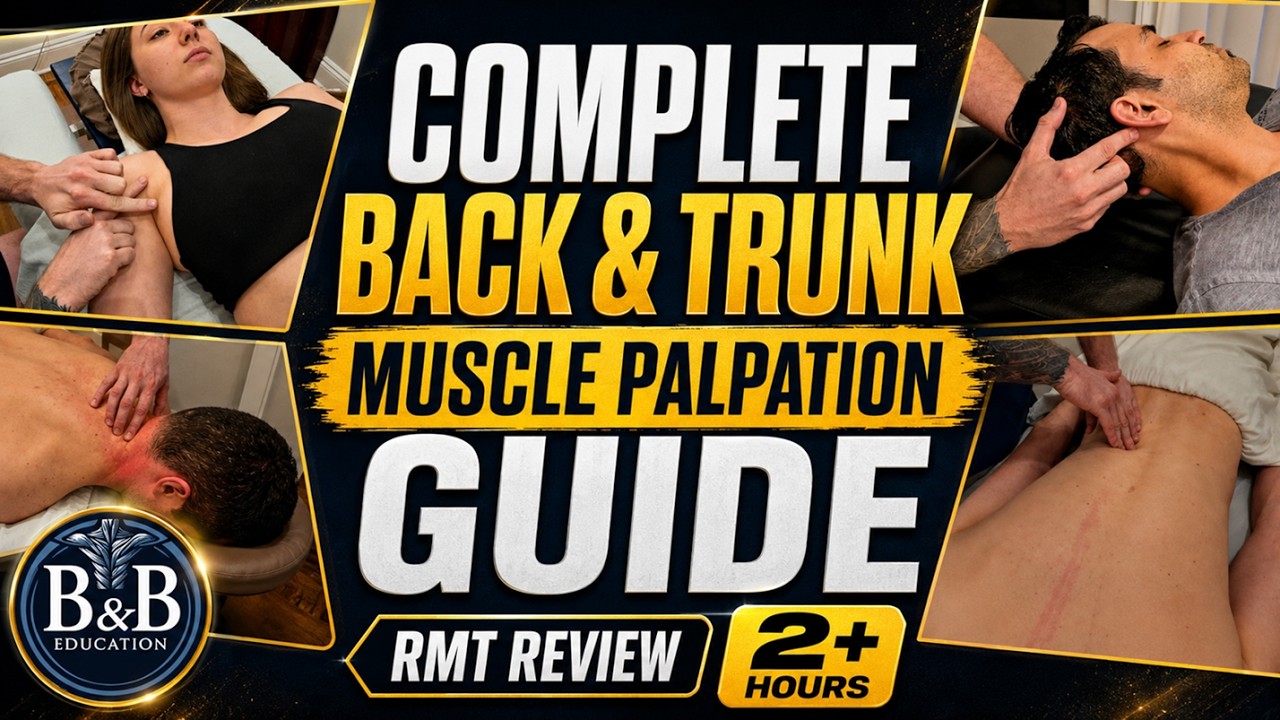 Ultimate Trunk and Back Muscle Palpation Compilation