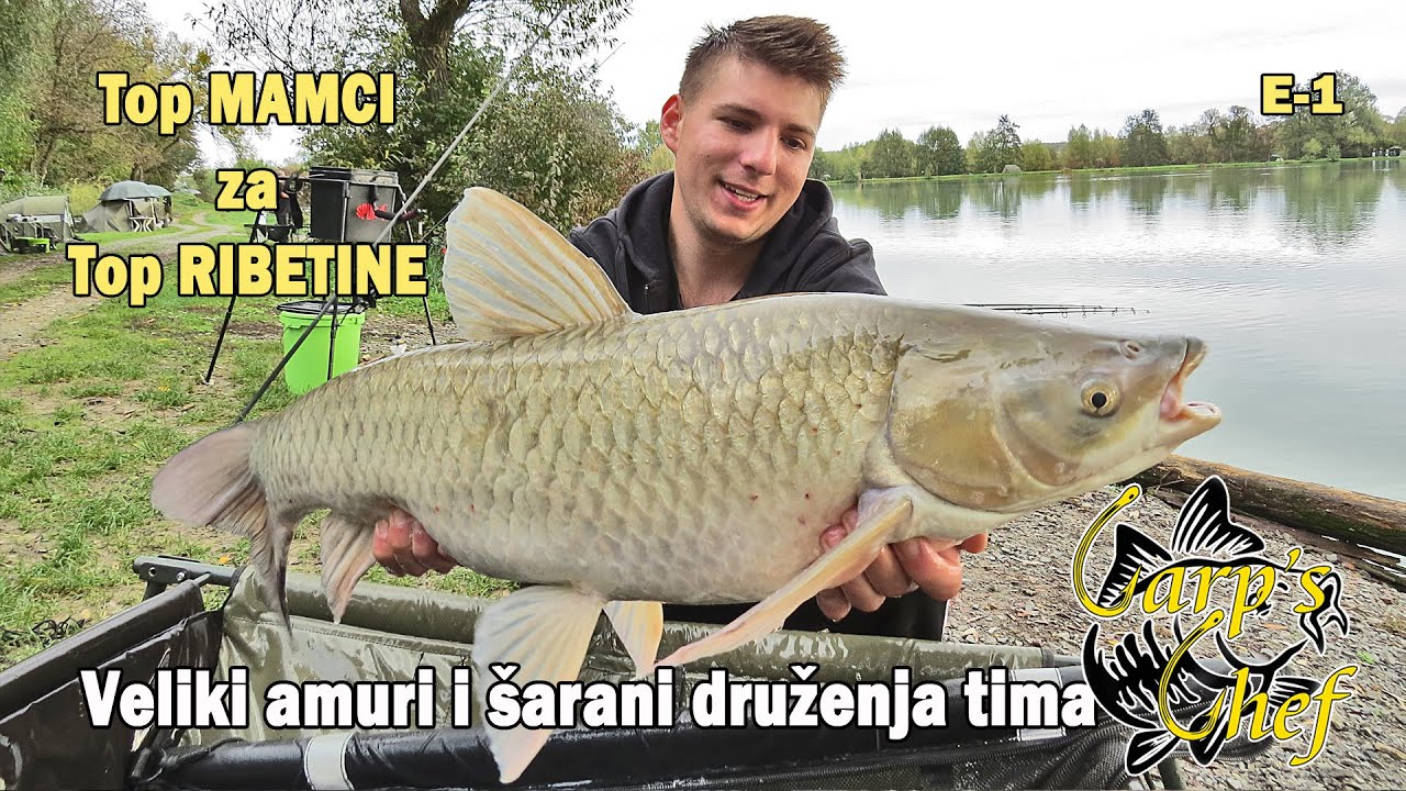 Top mamci za Top ribetine - Veliki amuri i šarani druženja Carp´s Chef tima E-1 / VSP Igor Pavičić