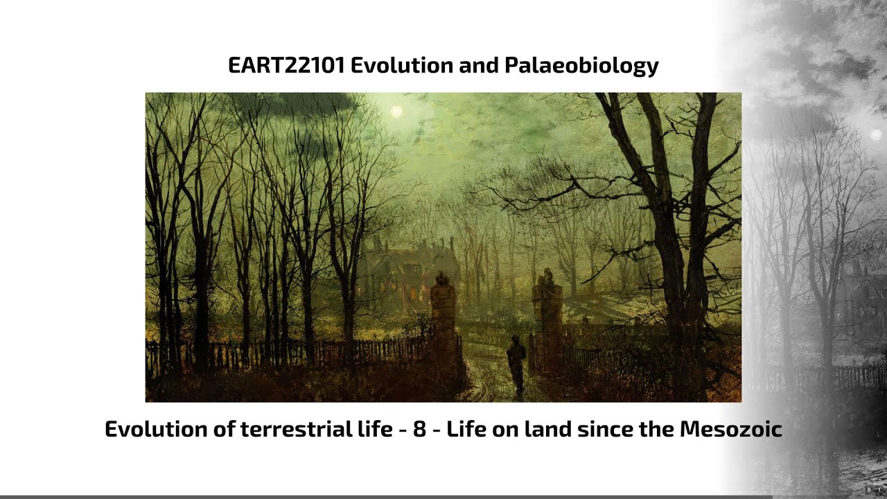 Evolution of Terrestrial Life, Video 8 - EART22101 - Palaeobiology and Evolution - 2025
