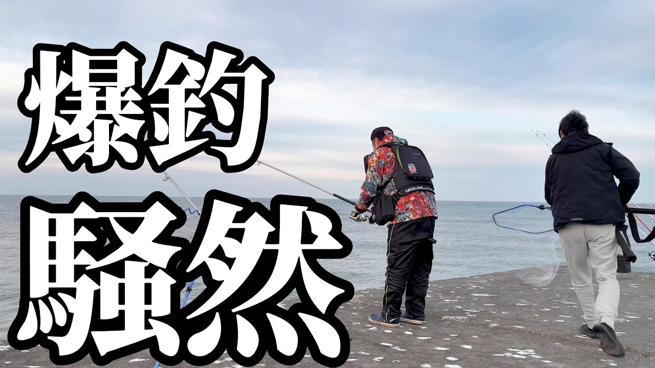 【北海道】【釣り】港内激震！！衝撃の展開‼️重量級カレイが爆釣