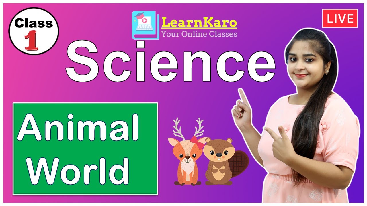 Class 1 | Science | Chapter -6 | Animal World