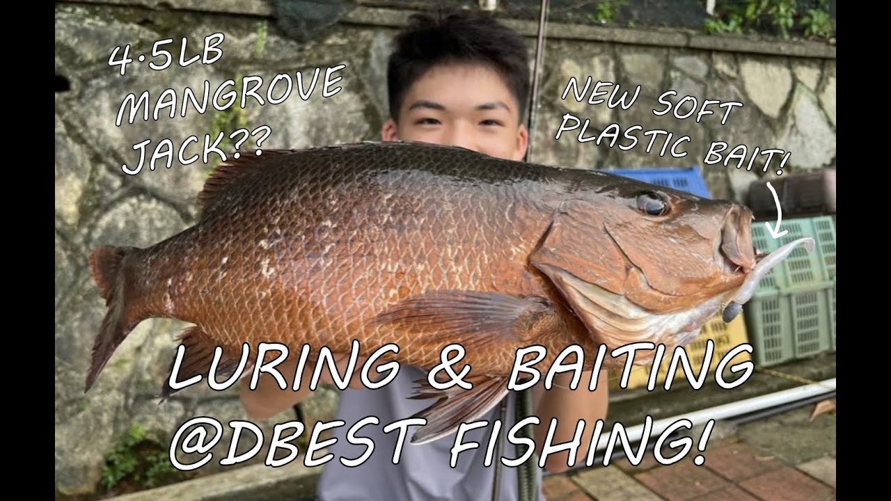 Dbest Pasir Ris Fishing - Caught my personal best fish! | Brand New Soft Plastic Lure In The Market?