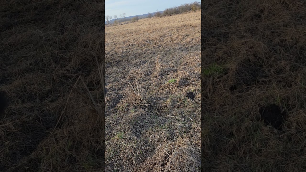 Bawimy się nowym radiem z APRS-em. Teraz się nie zgubisz:-)