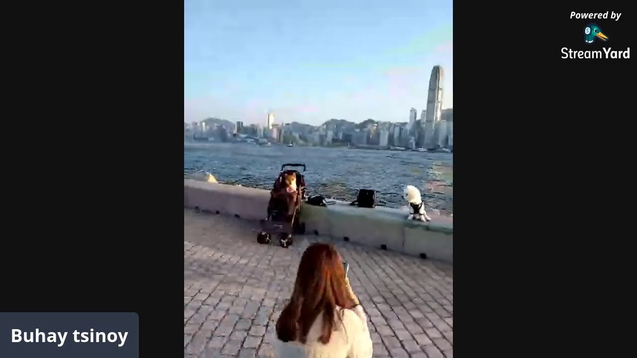 west kowloon