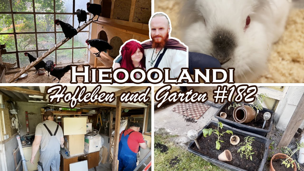 HOFLEBEN UND GARTEN VLOG 🏡 182 🌿 Die H&uuml;hner sind los: Eingew&ouml;hnung und Elektrik im Stall