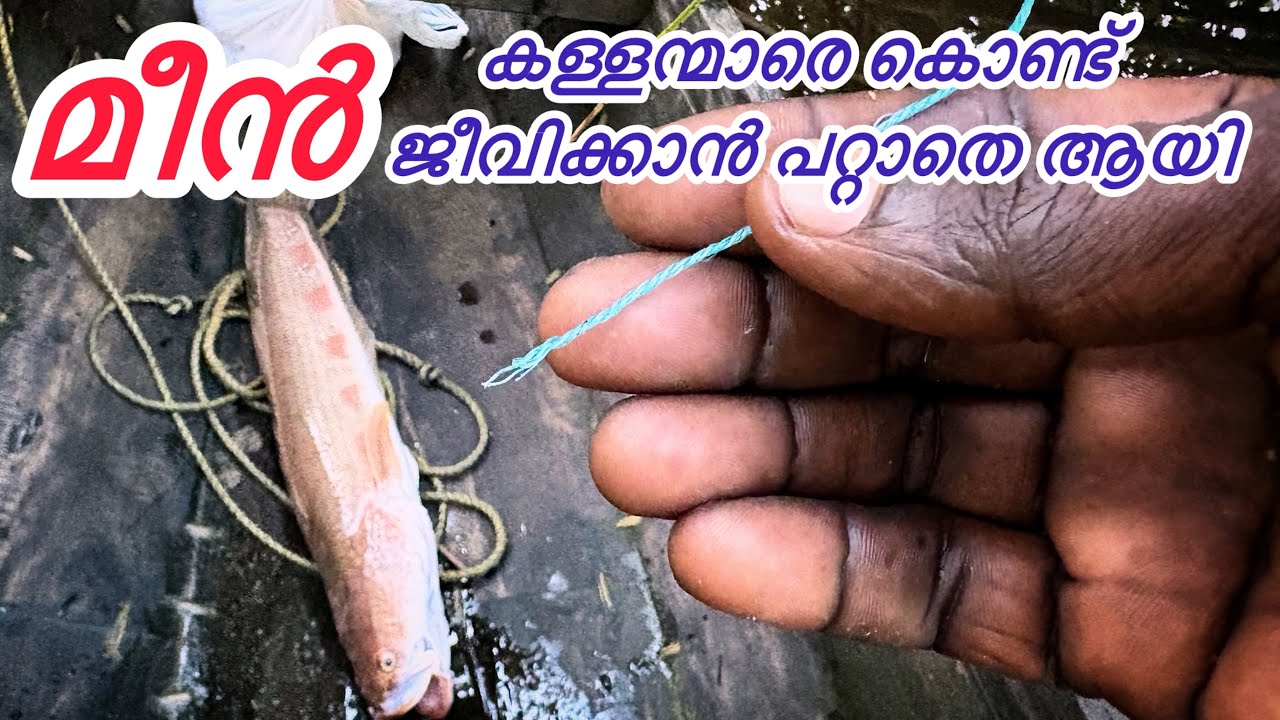 ഇതുപോലെ ആയാൽ ഒളിച്ചിരുന്ന് വെടി വെക്കേണ്ടി വരും. മീൻ കള്ളന്മാരെ കൊണ്ട് ജീവിക്കാൻ പറ്റാതെ ആയി 
