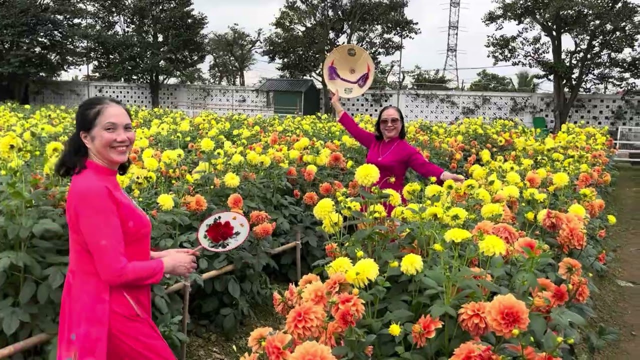 Vườn thược dược 