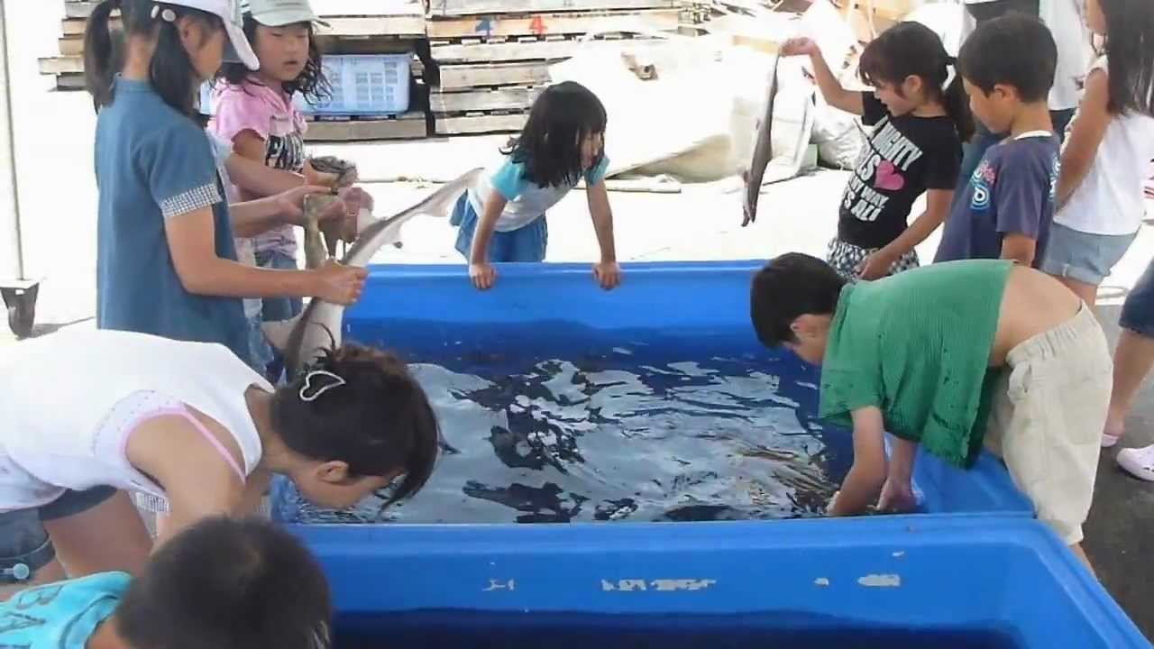 塩屋漁港祭り2012-0616