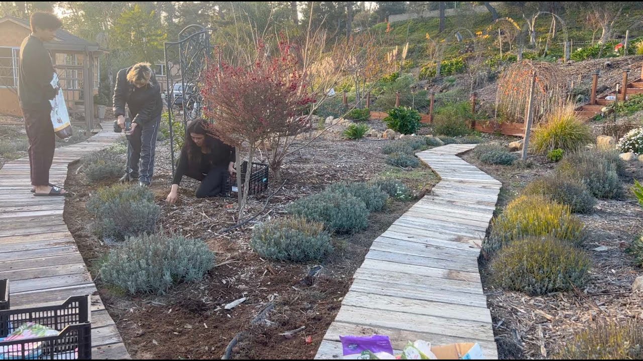 Plantando 250 Bulbos con Familia!!! 🥰🌷💗 // Nuestro Jardin