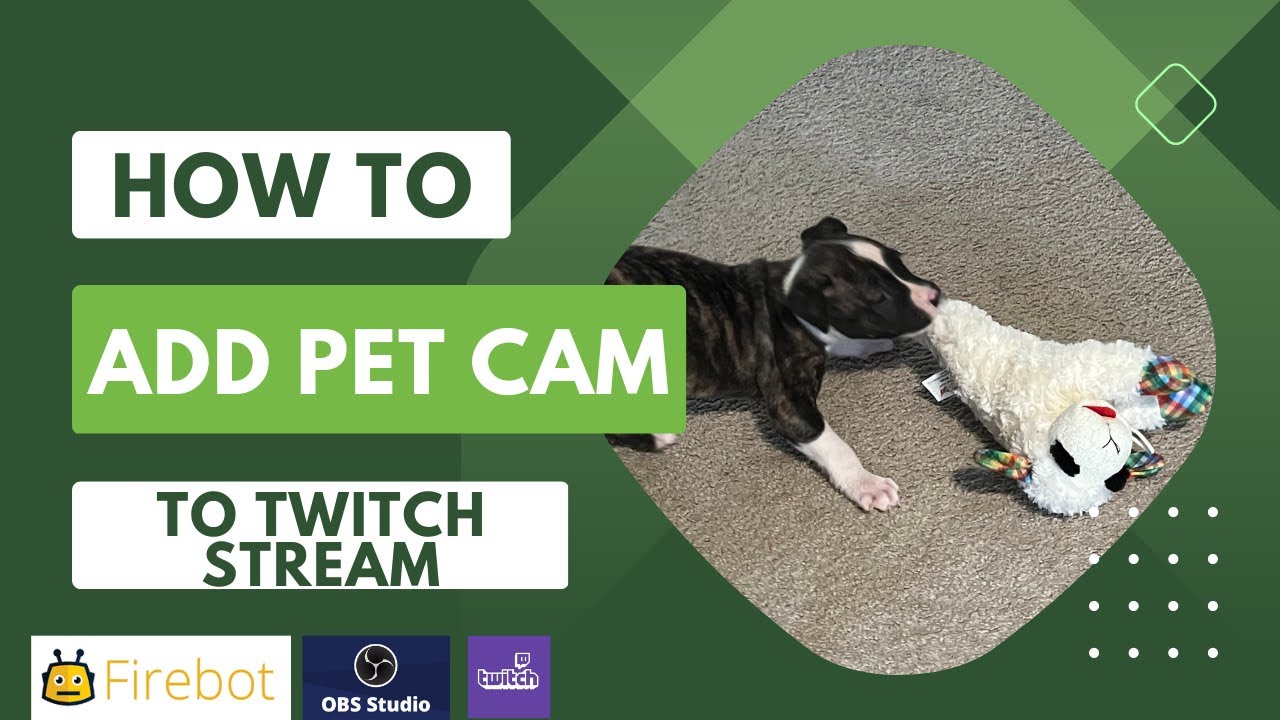 How to add Pet Camera to Twitch Stream Using Firebot & OBS