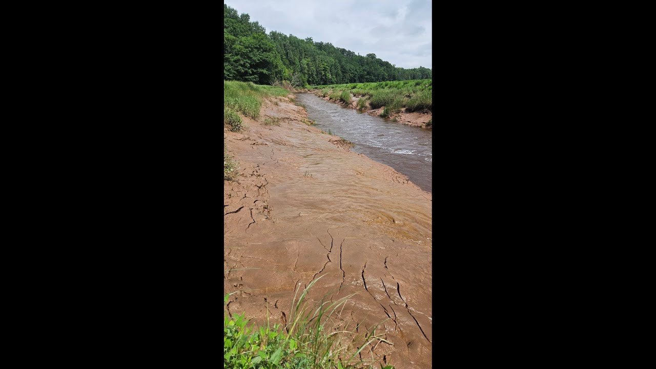 Tidal mud!!!