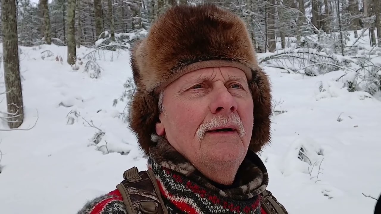 Заповедники оленей... Прямо у вас под носом... Бакман