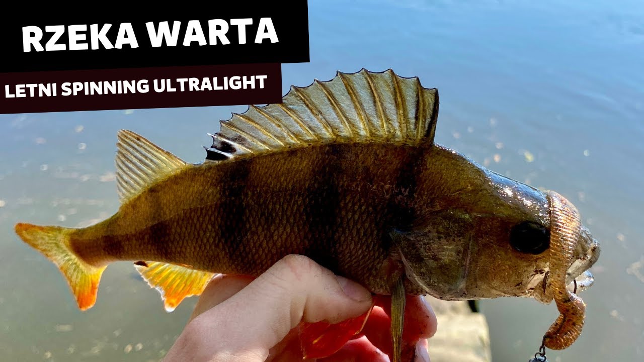 OKONIE NA ULTRALIGHT | RZEKA WARTA | WAKACJE 2023
