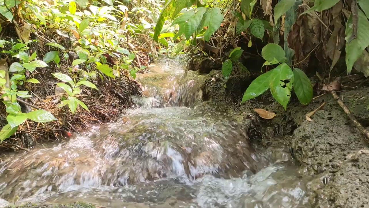 Healing River Ambience – Calm River Sounds with White Noise for Stress Relief