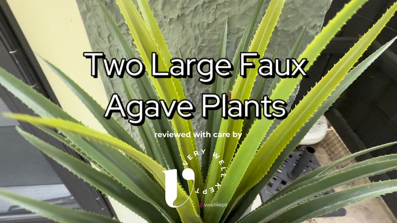 Review: Realistic artificial Agave &ndash; Indoor & Outdoor Plant