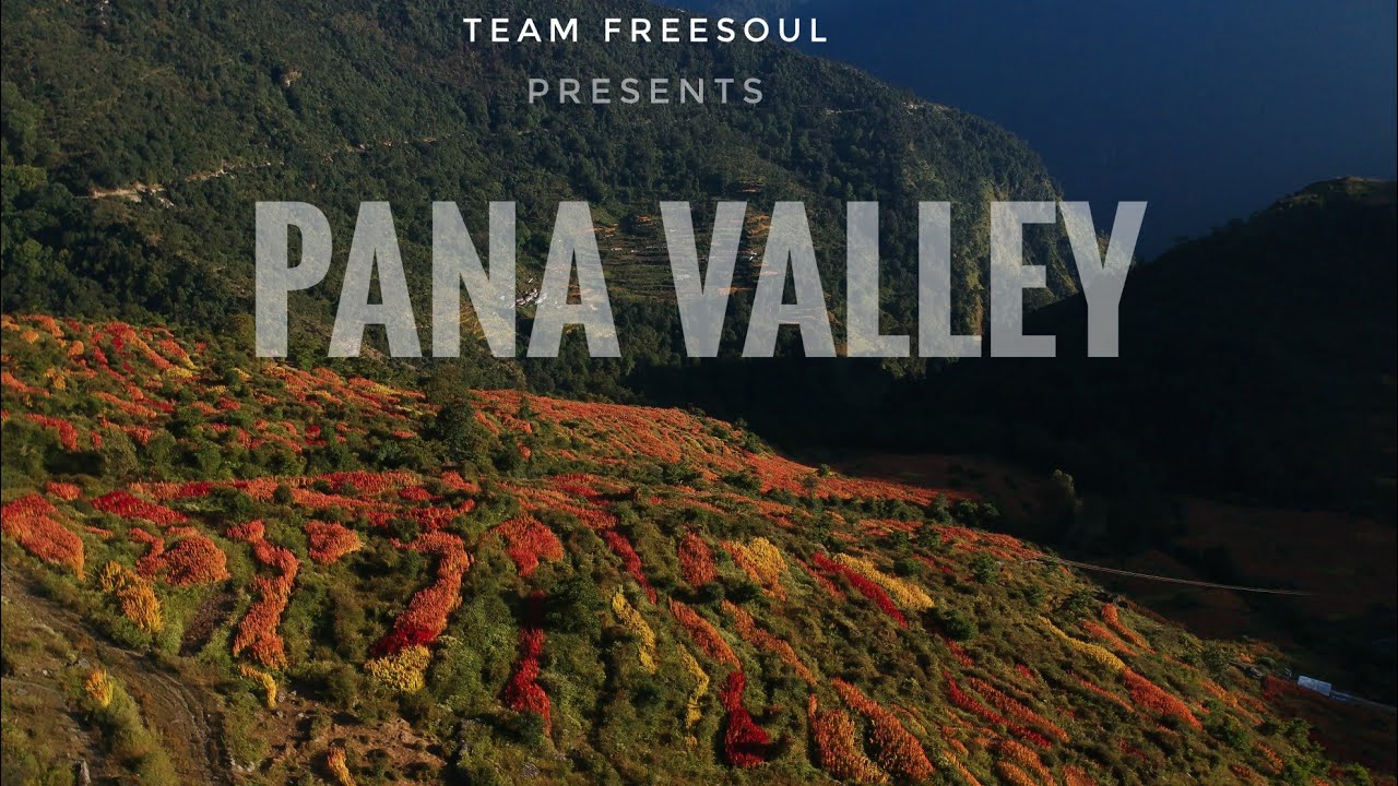 PANA VALLEY  |TEAM FREESOUL|