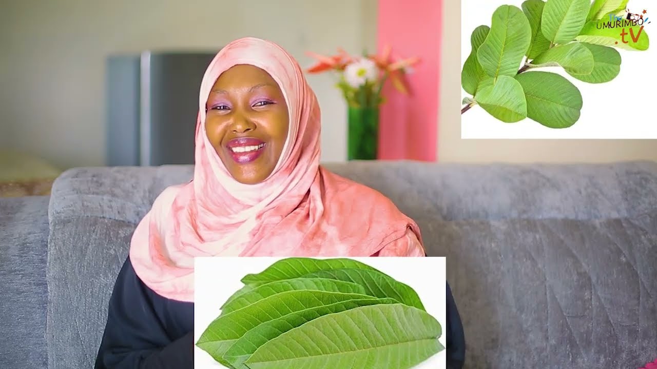 Indwara icumi(10)amababi yamapera avura cyane cg zivurwa namapera.nimyinshi nubwo twateguye 10 