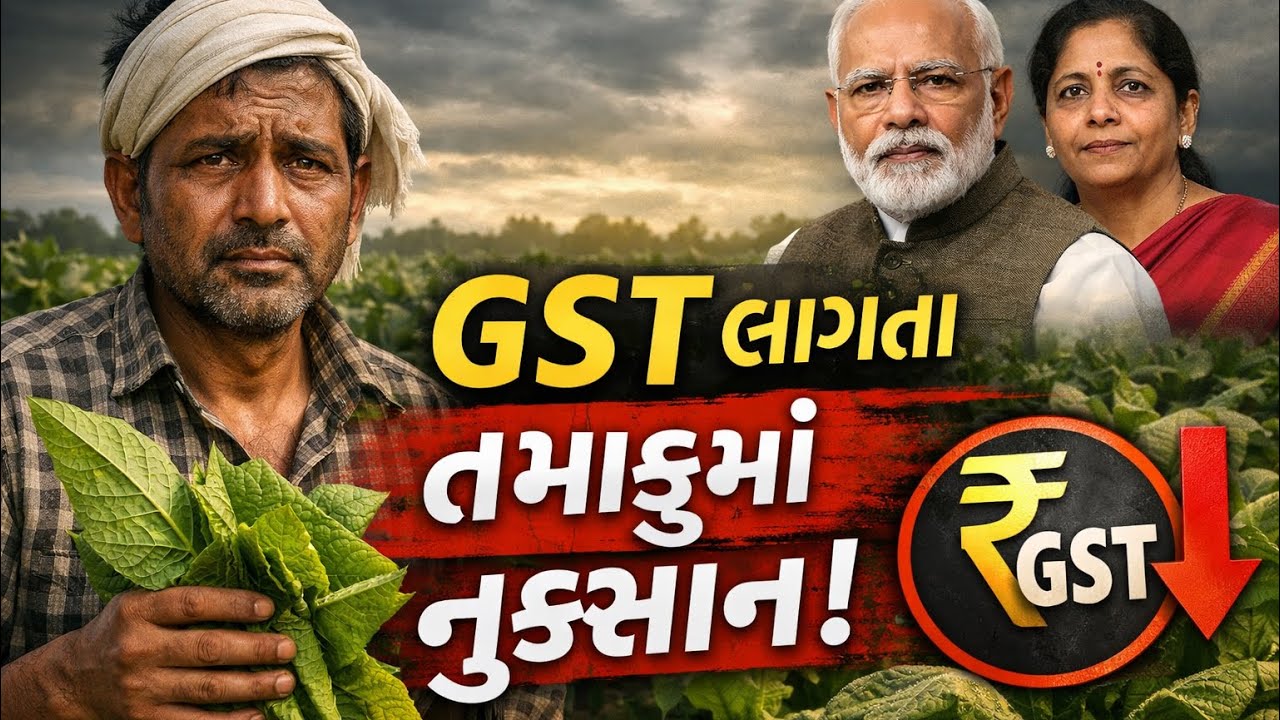 તમાકુ બજારમાં મોટો ફેરફાર! ખેડૂત સાવધાન