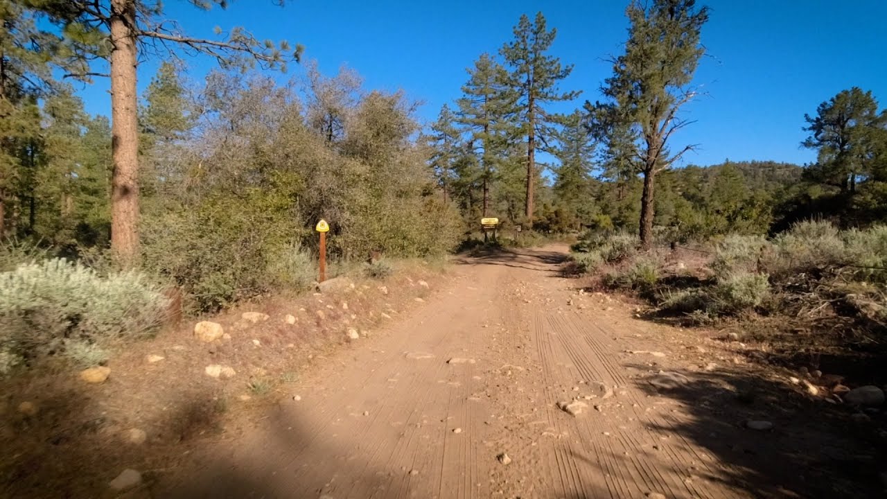 Pine Springs Campground Route 7N03, Los Padres National Forest