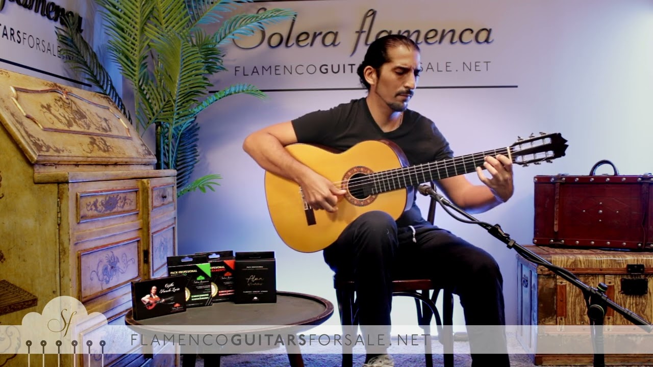 Jesús de Jiménez 2016 flamenco guitar for sale played by José Andrés Cortés