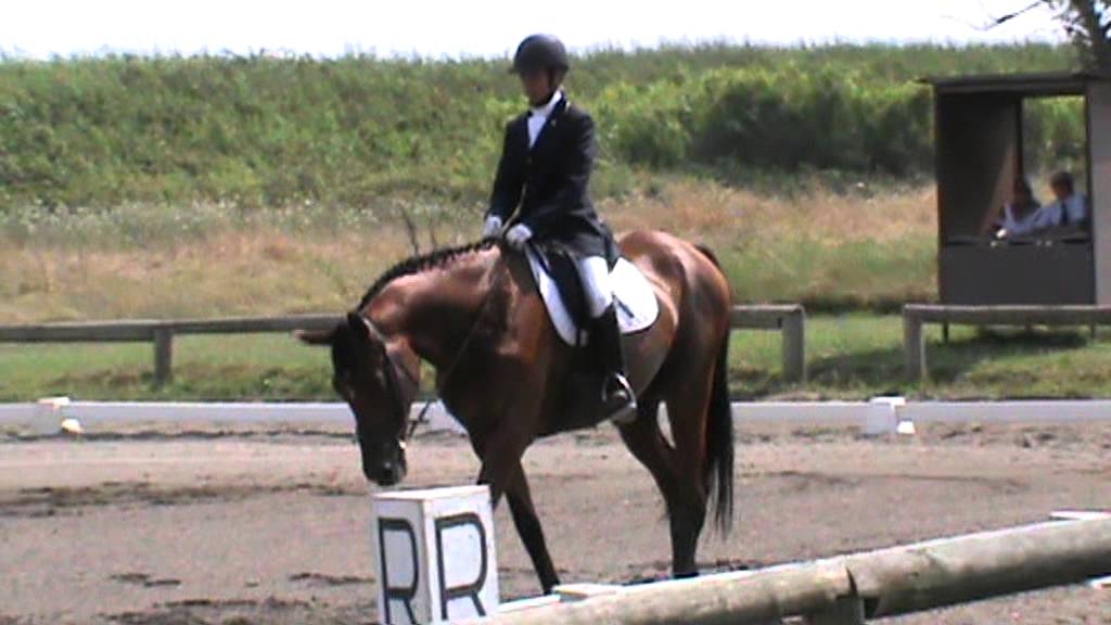 Dressage E  210 Elisa Sibio e Alider