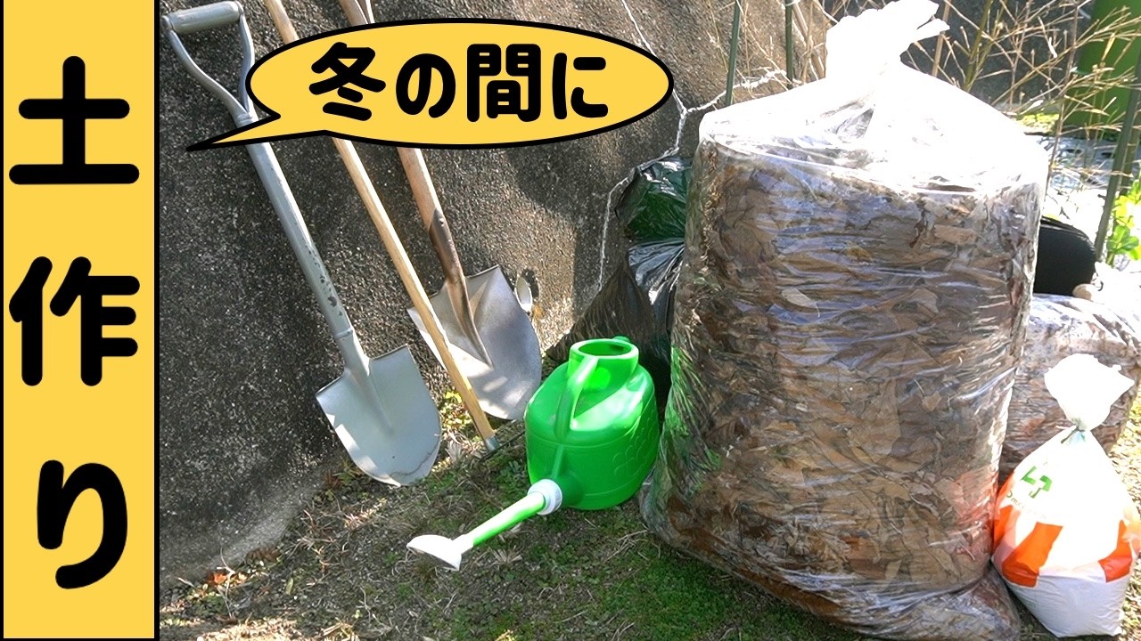 冬の間に土作り（ 1月）今年も落ち葉を畑に入れました
