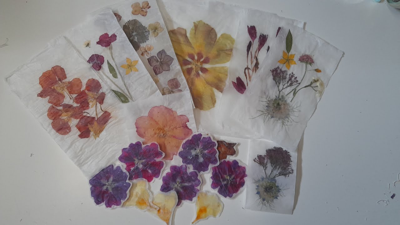 Papier de fleurs séchées : Tuto simple et rapide