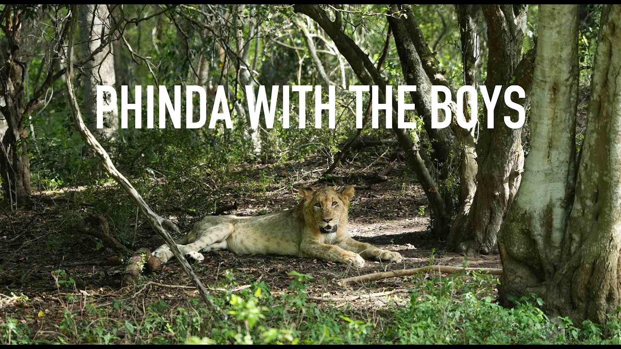 Phinda with the Boys | andBeyond Phinda