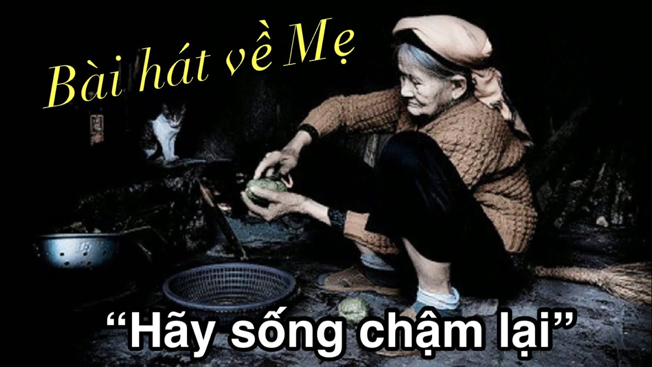 “Hãy sống chậm lại “- Bài hát theo yêu cầu