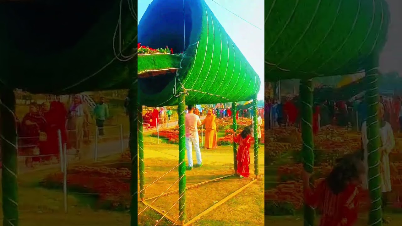 ডিসি পার্ক অনেক সুন্দর #entertainment 