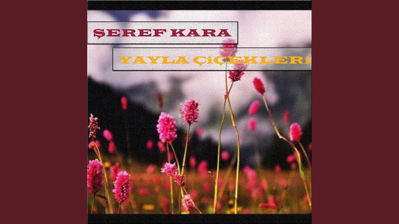 Yayla Çiçekleri