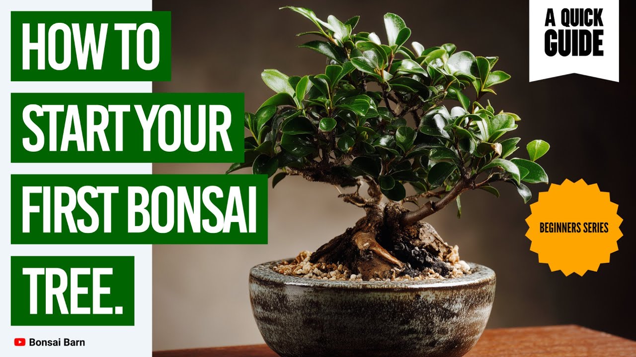 &ldquo;How to Start Your First Bonsai Tree.&rdquo; (&ldquo;Step-by-Step for Beginners)&rdquo;