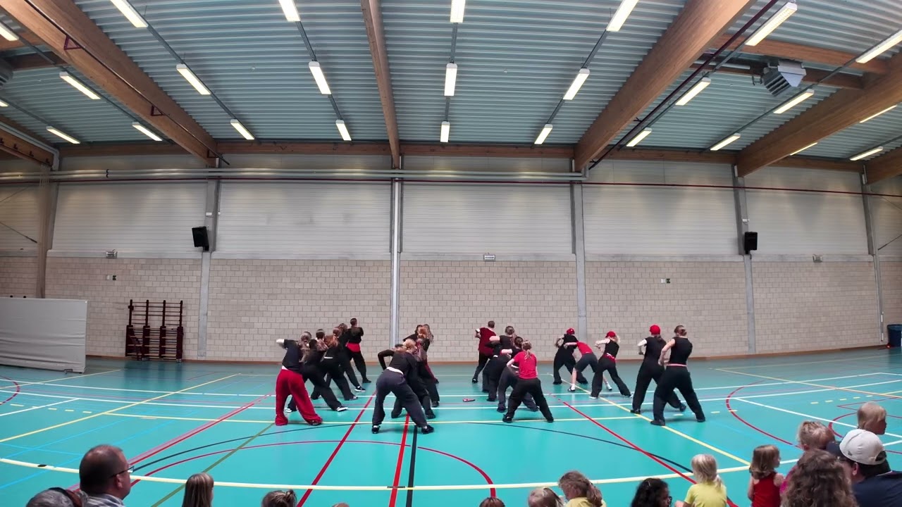 DANSSTAGE 2025 - Mix (groep 2)