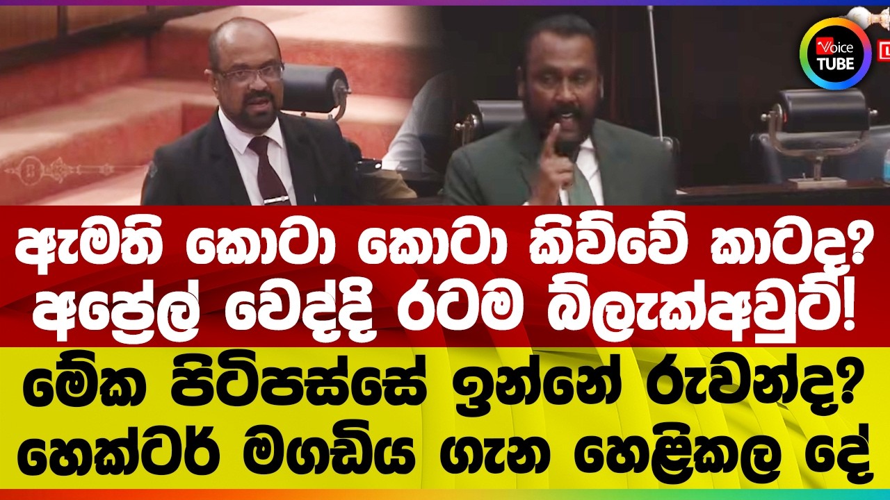 ඇමති කොටා කොටා කිව්වේ කාටද? අප්‍රේල් වෙද්දි රටම බ්ලැක්අවුට්! මේක පිටිපස්සේ ඉන්නේ රුවන්ද?